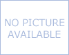 CS303T-12 Top Hanlde chainsaw CS303T-12 Top Hanlde chainsaw